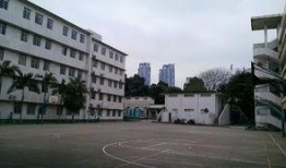 南宁市第一中学最新爆料,揭秘校园新动态与未来规划